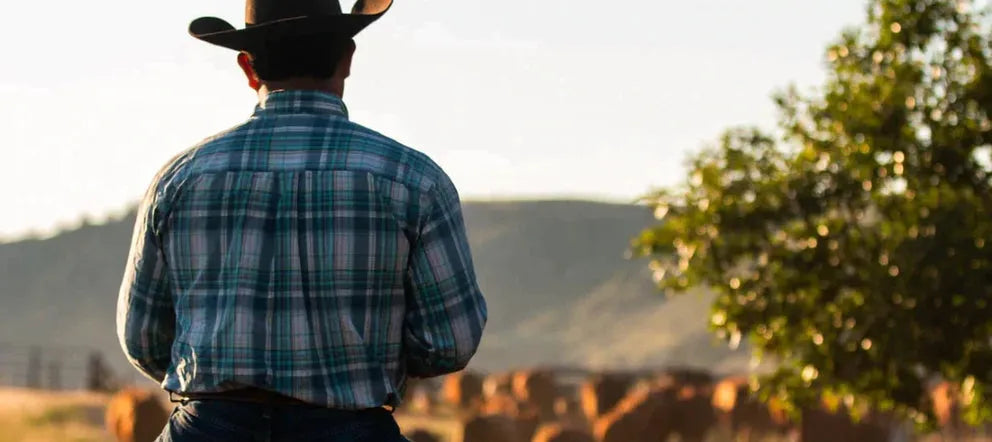 How to Make Cowboy Coffee